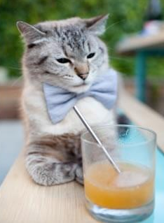 南十字星撕裂爱琴海神话，一场改写全球篮球地理的东决级绞杀