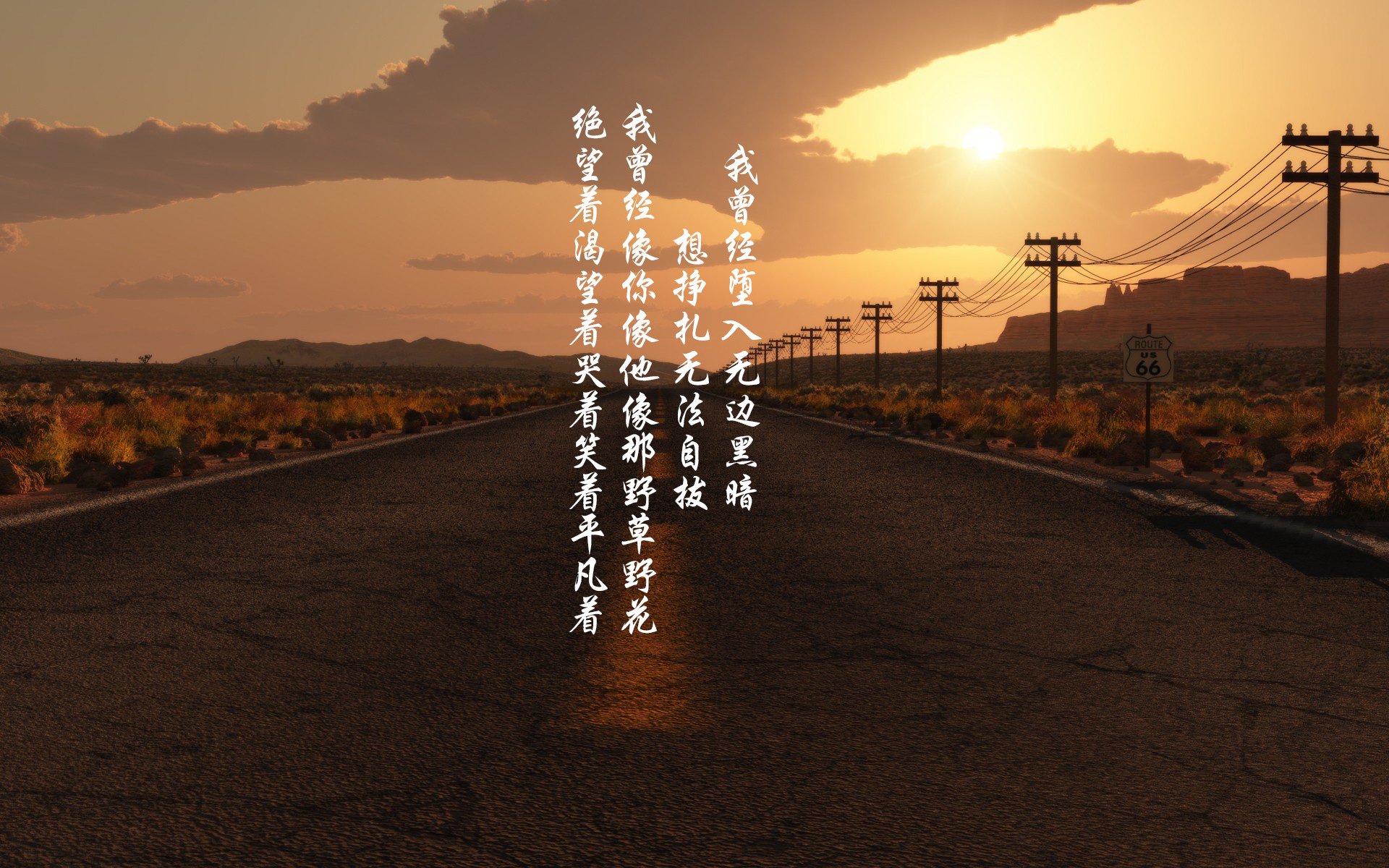 绿色狂潮中的一抹红,德罗赞的北岸花园之夜