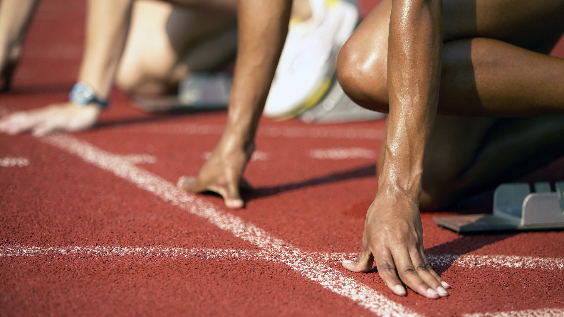 绿色狂潮中的一抹红,德罗赞的北岸花园之夜