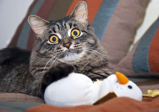 当德甲争冠战遇上希腊方阵，巴萨的战术铁幕与足球地理学