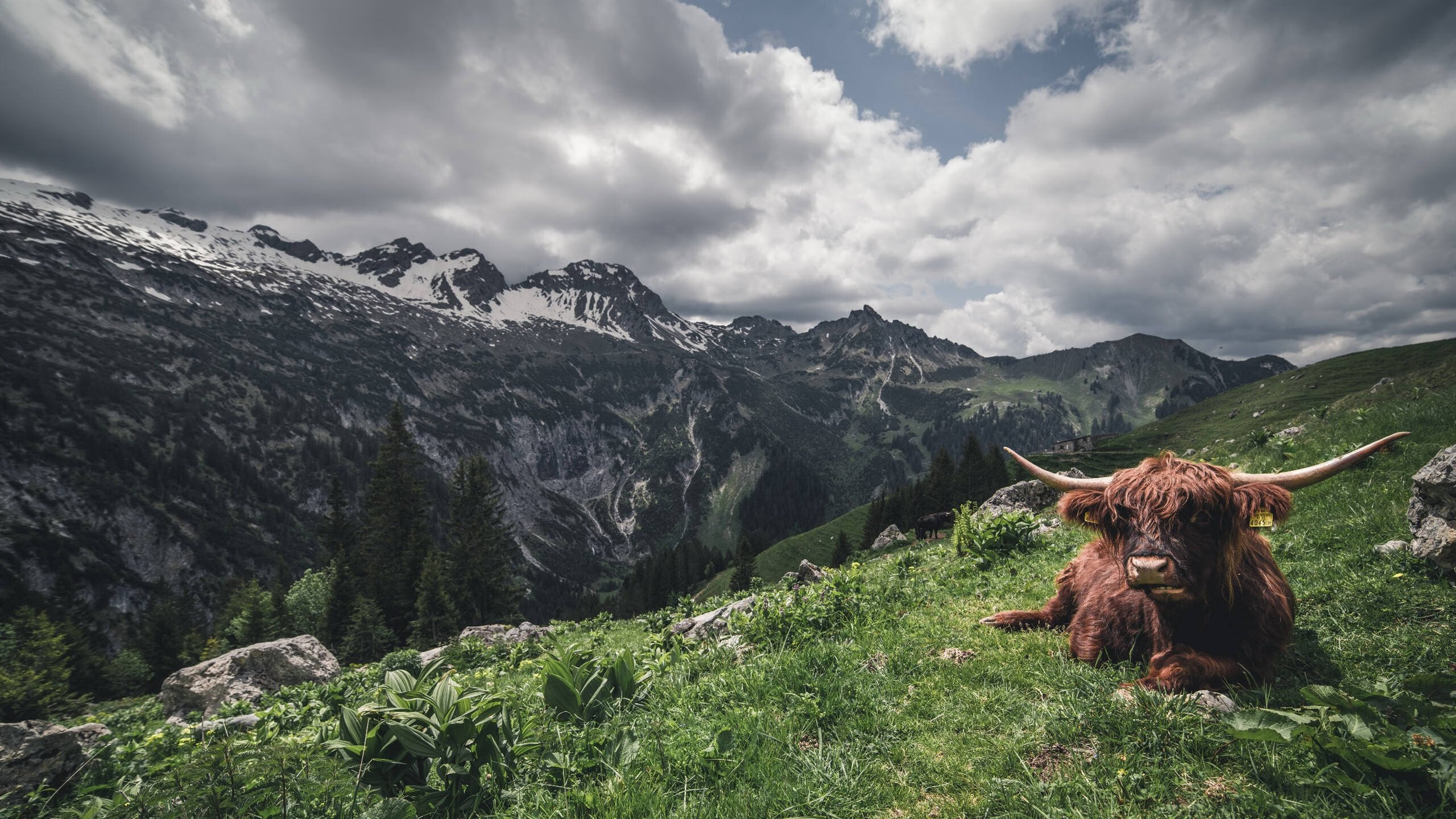 宿敌暗巷，背水英雄，当贝恩化身斯巴达克斯撕裂公牛铁阵