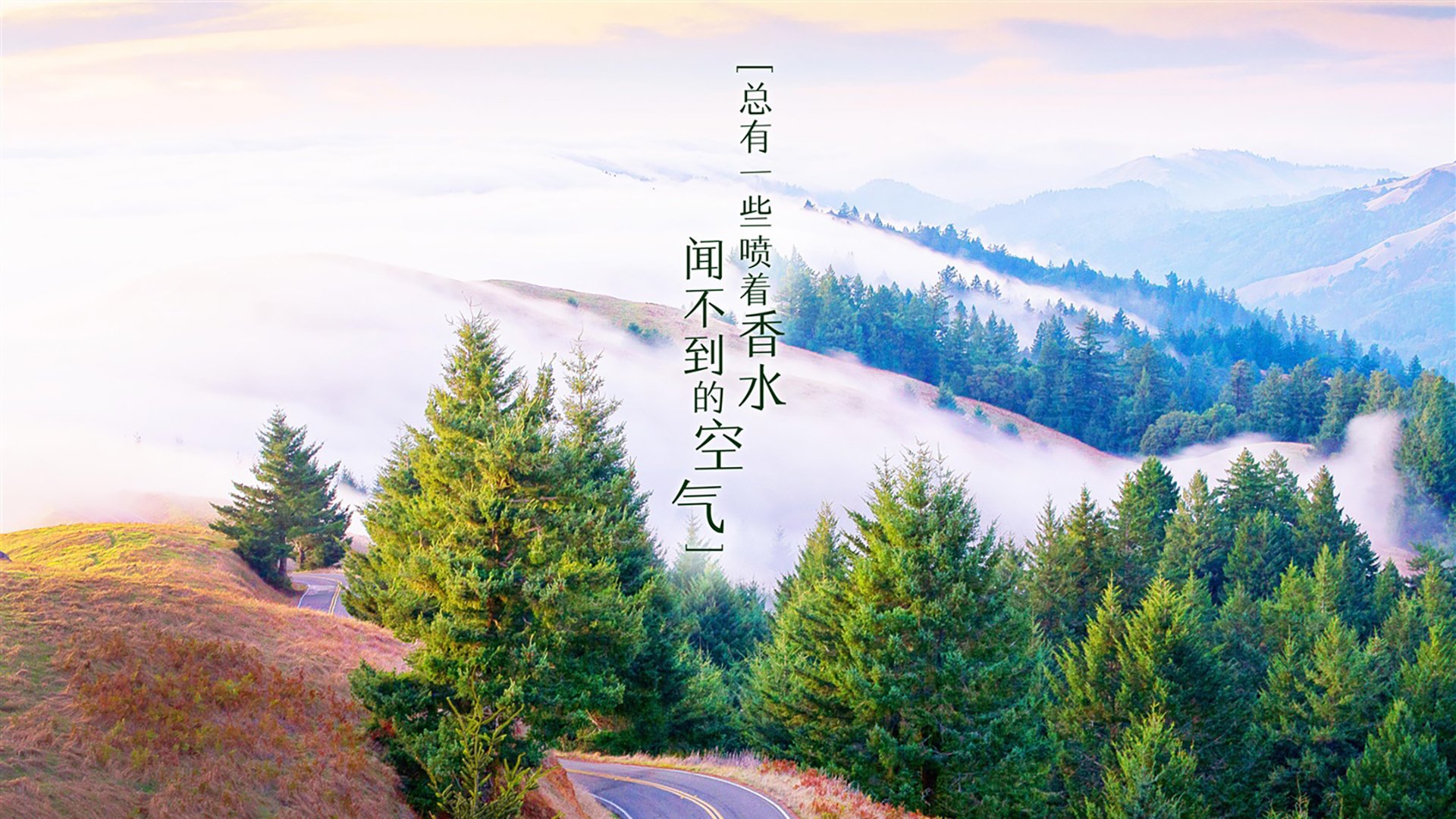 奇迹与遗憾，2026世界杯H组，美国险胜巴西，奥斯梅恩成暗夜孤星